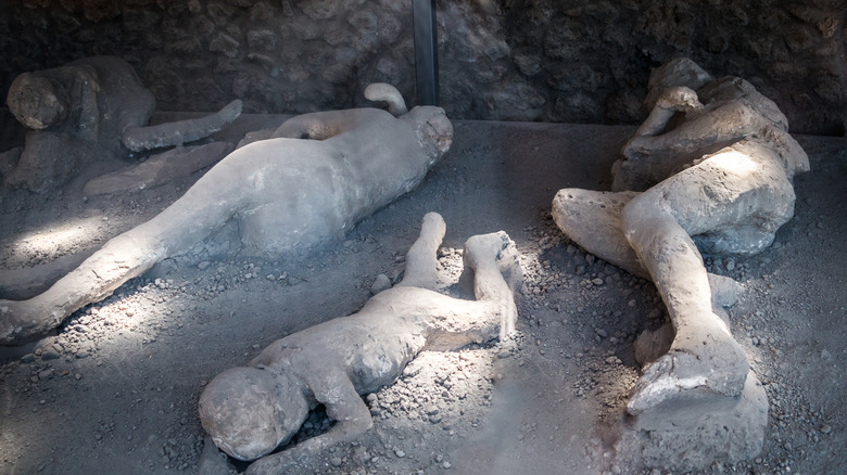 plaster casts of Pompeii's dead