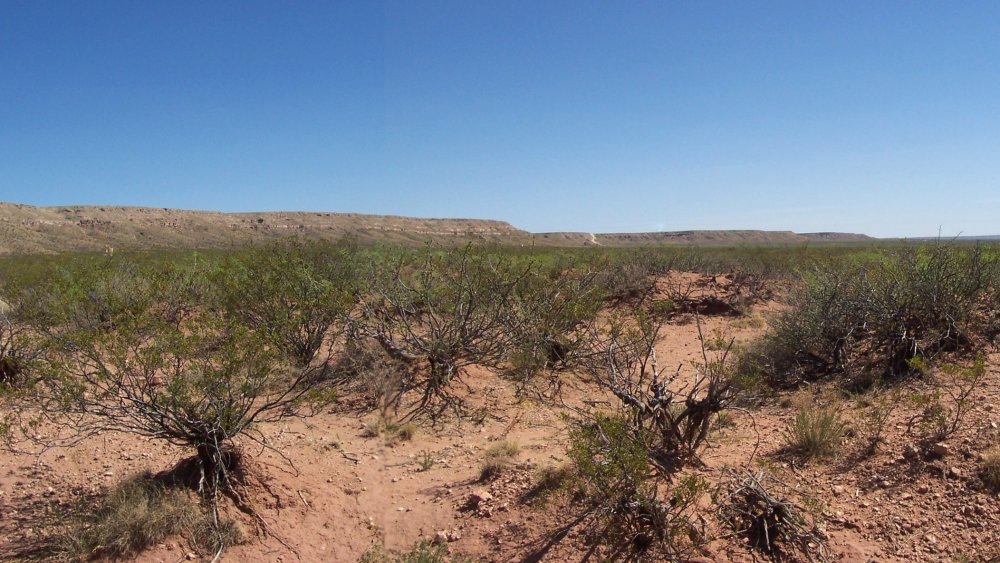 Below the Caprock, Roswell, New Mexico