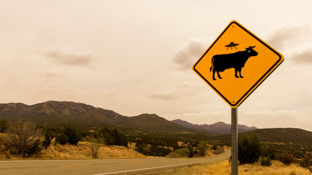 Road sign with UFO, New Mexico