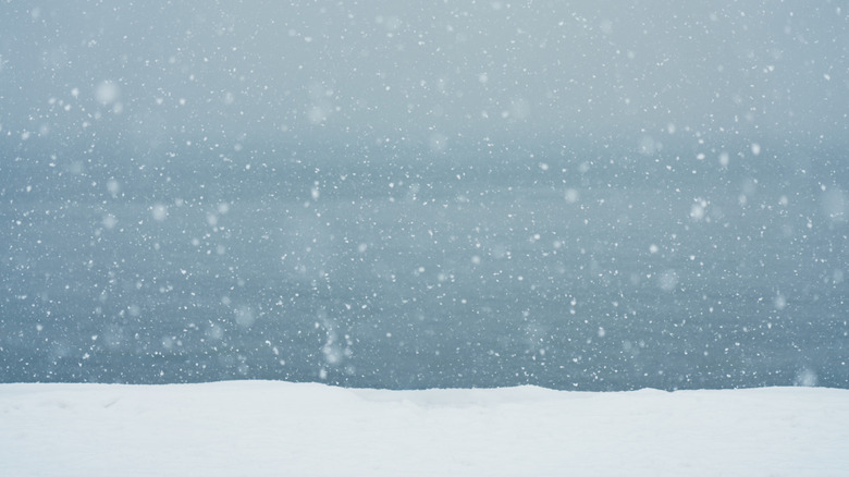 Snowfall closeup