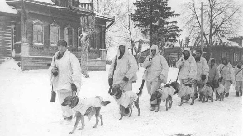 Soviet soldiers walking with anti-tank dogs