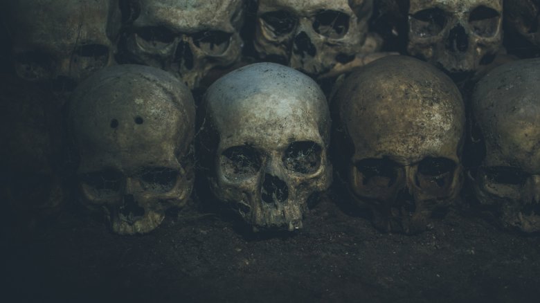 skulls