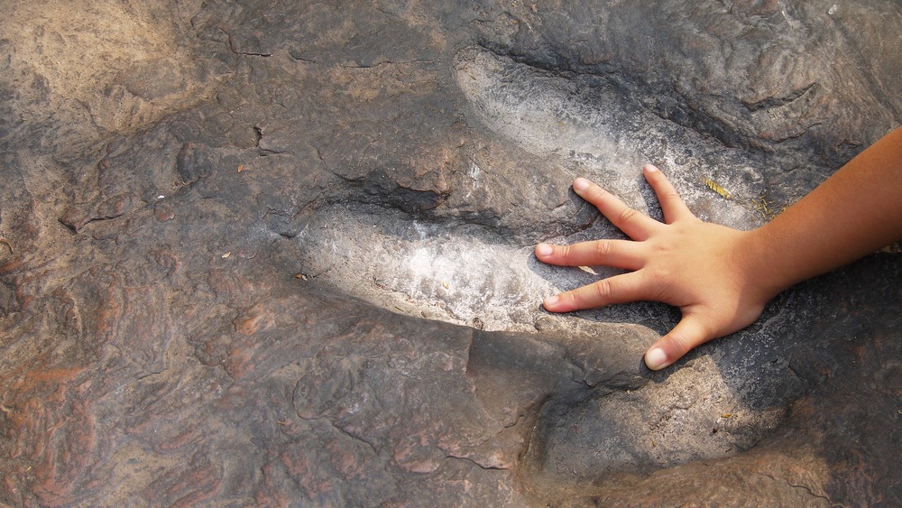prehistoic creature footprint