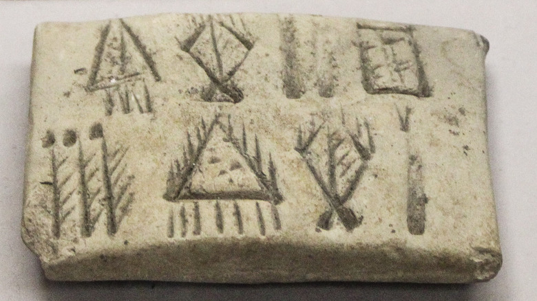 proto elamite tablet hairy triangle