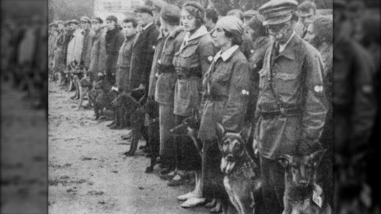 Soviet handlers and dogs standing in a line