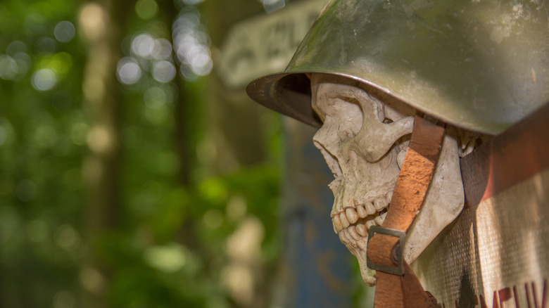 World War II era skull and helmet