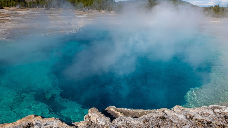 a yellowstone hot spring