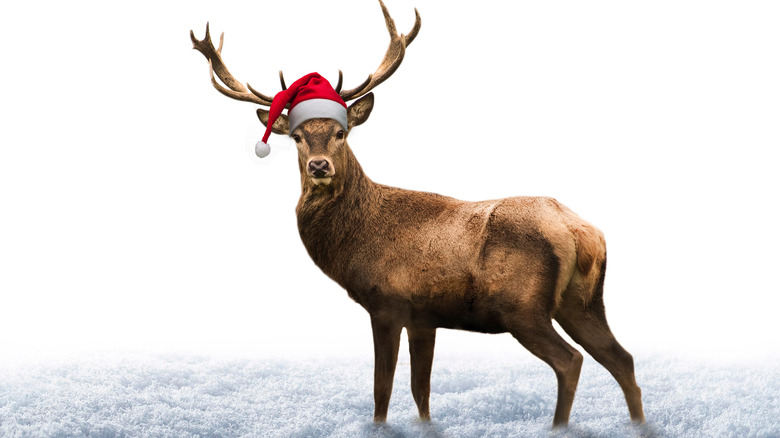 Reindeer with a Santa hat