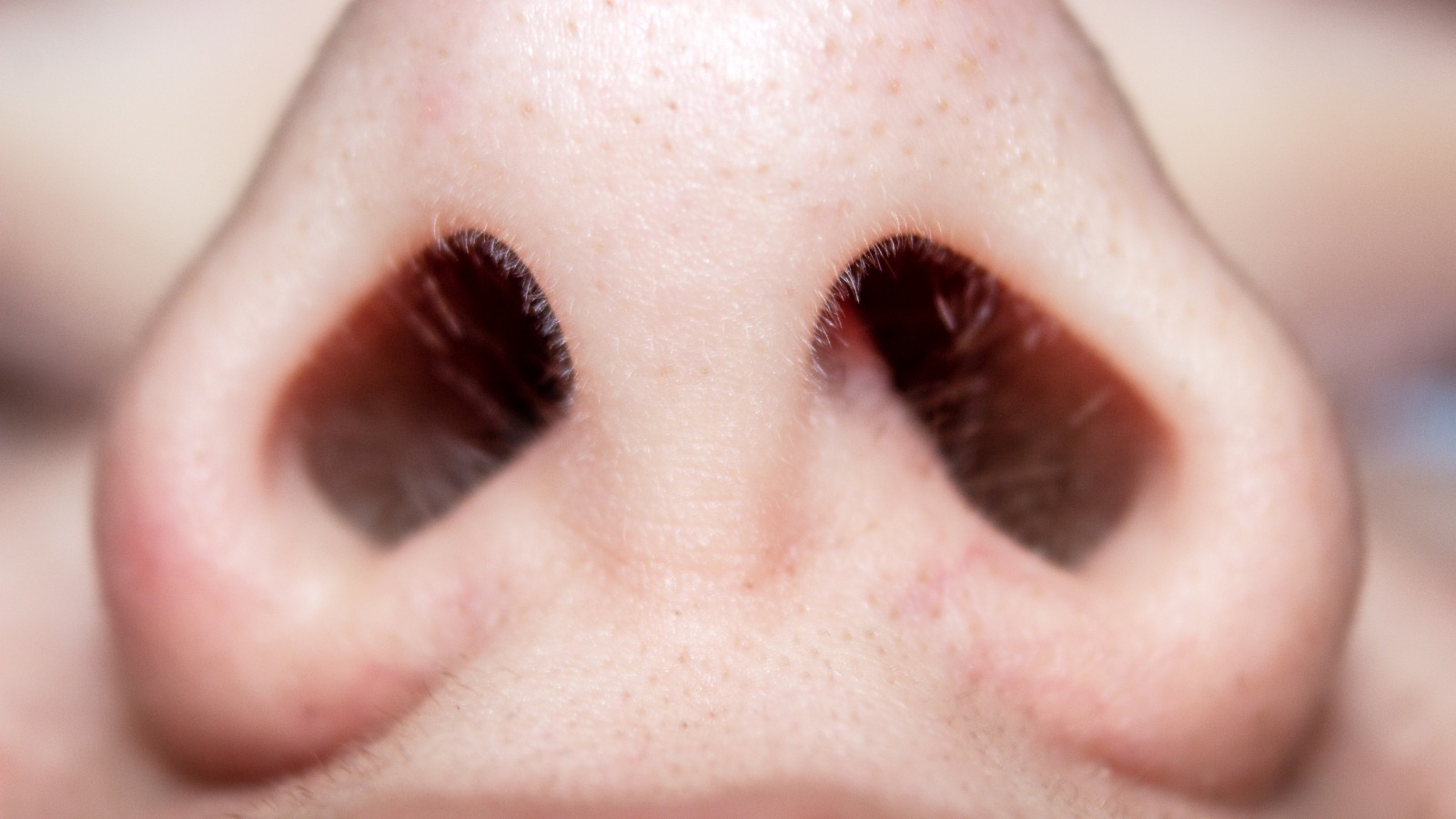 Nose Hair Why We Have Them and How to Get Rid of Them  Cleveland Clinic