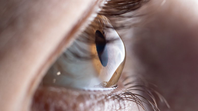 Look a bit closer