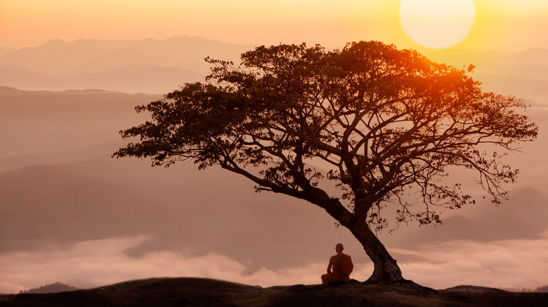 The Buddha under a tree