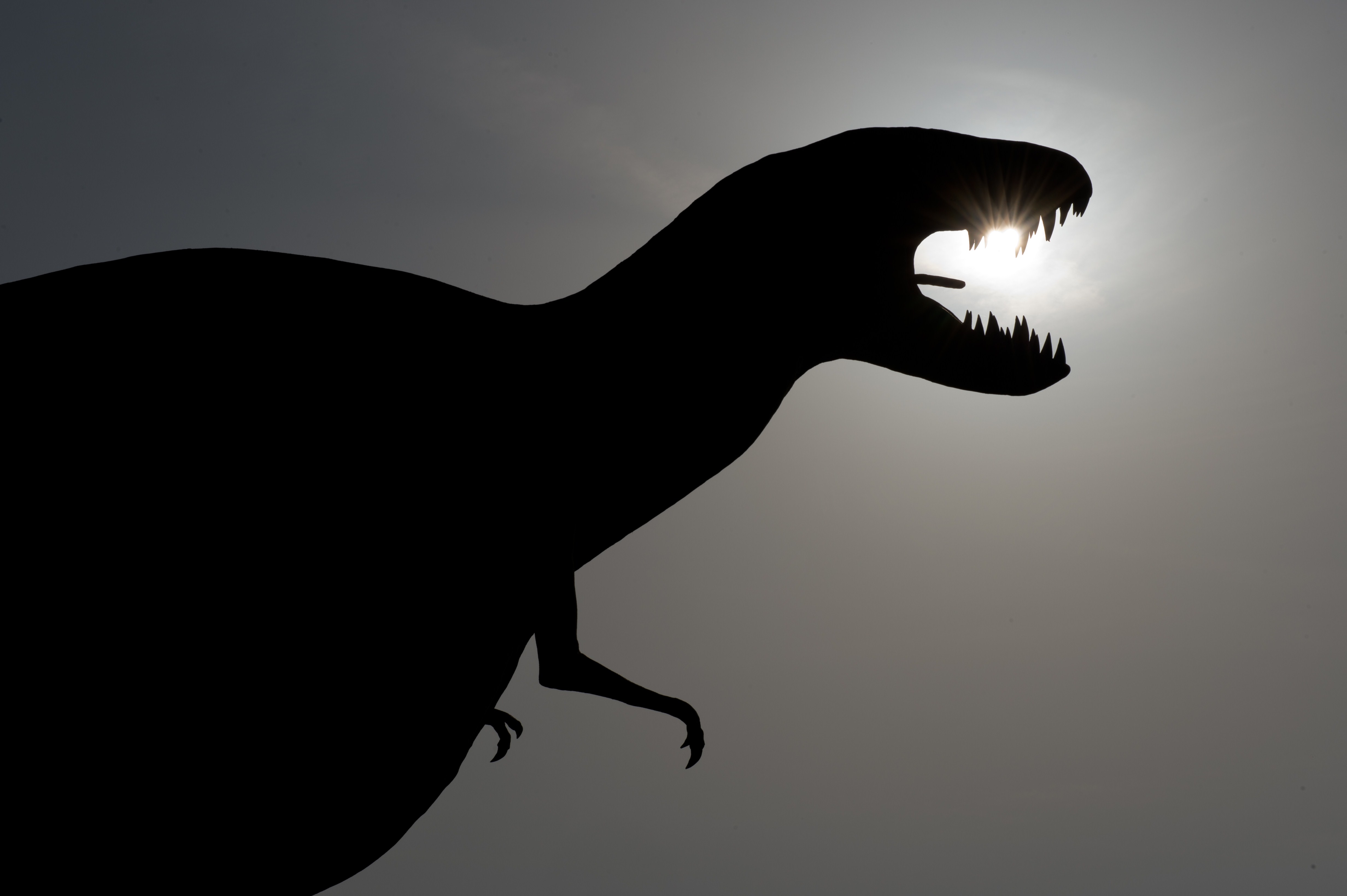 coolest types of dinosaurs