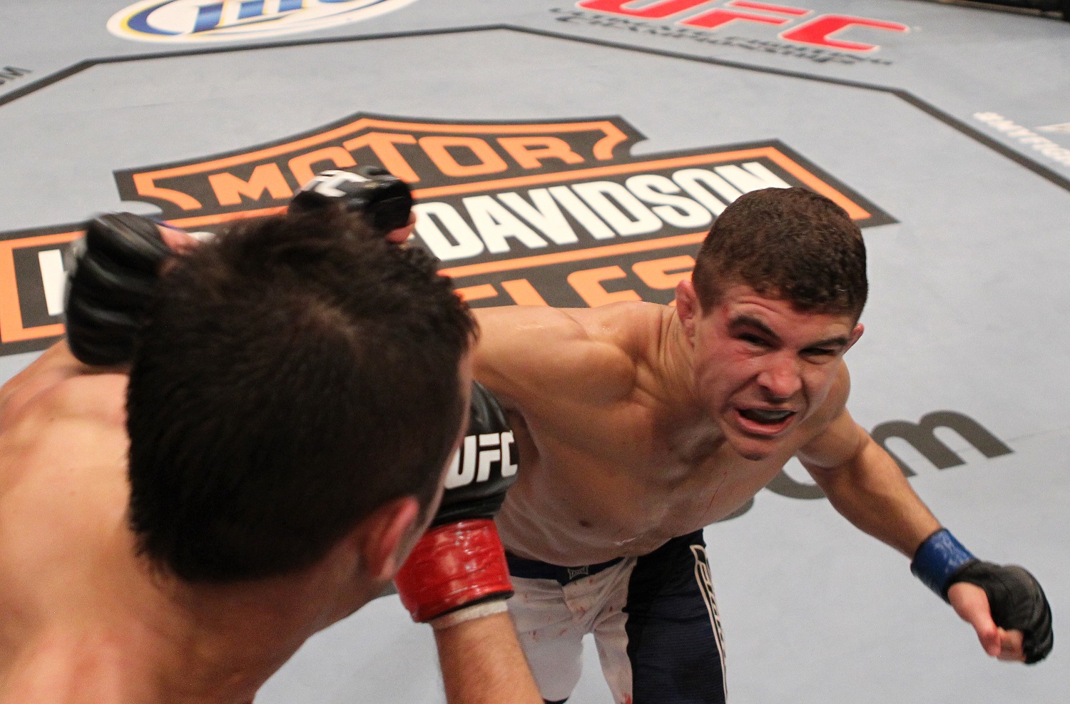 The Untold Truth Of The Ultimate Fighter